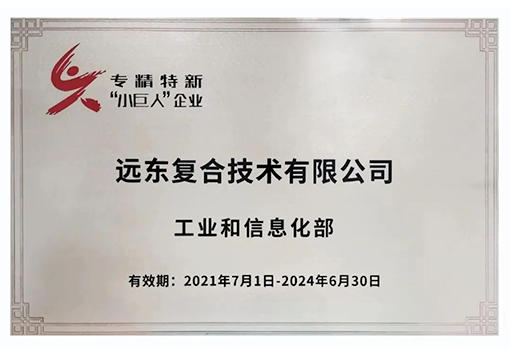 必发888官网复合技术专精特新小巨人企业